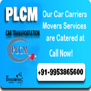 Professional Logistics packers and movers